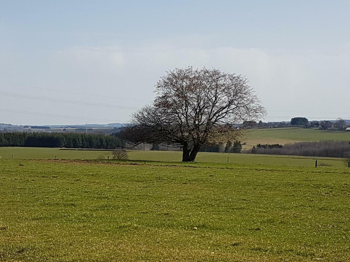 Le Clos De Rosa La-Roche-en-Ardenne Kültér fotó
